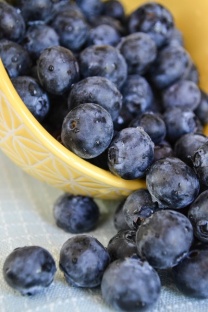 summer-blueberries-stephanie-herington-large